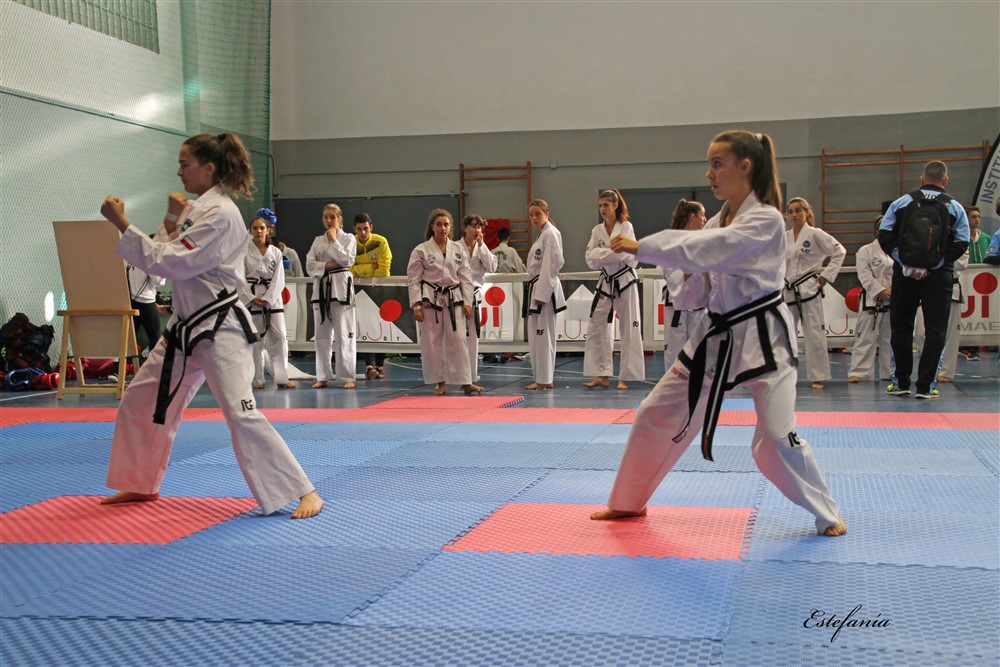 Copa Seul 2018 (538).jpg